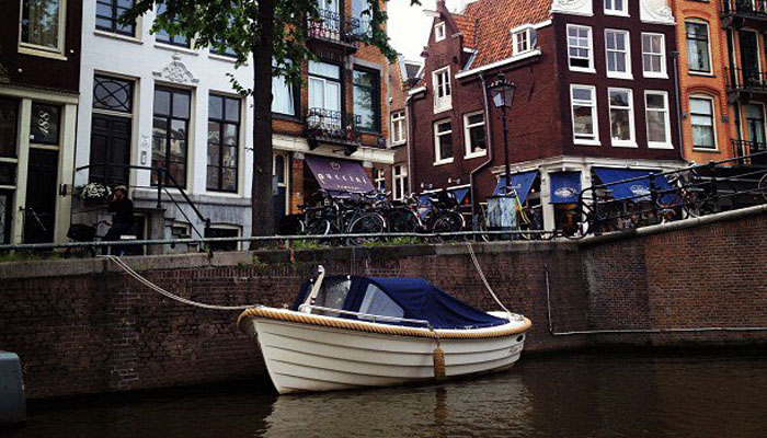 在线手机号轰炸软件